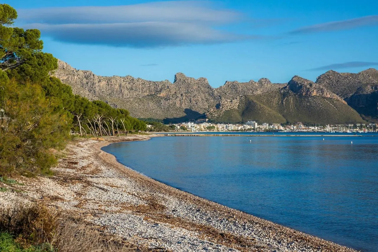 Lejlighed Apartamento Cala Port de Pollença Spanien